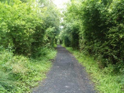 Image on trail